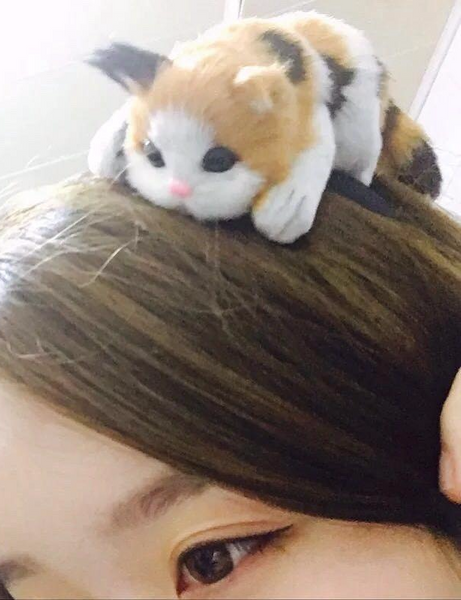 Kawaii Cat Head Hairbands